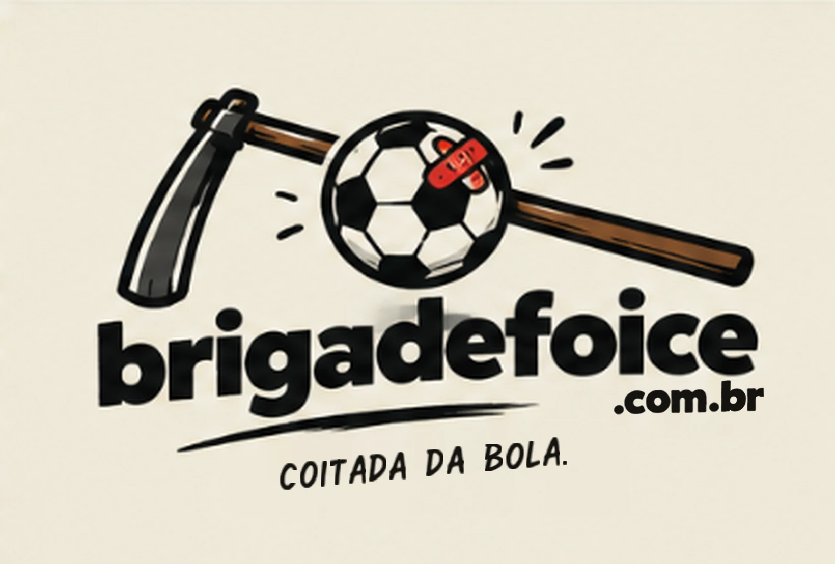 brigadefoice.com.br: coitada da bola